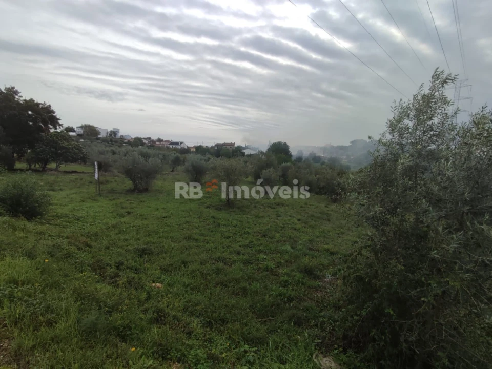 Terreno para Venda em Casais e Alviobeira Foto 4