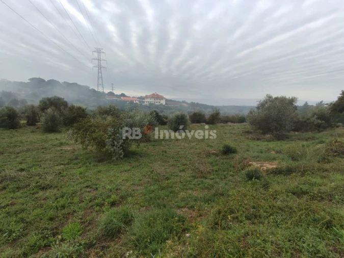 Terreno para Venda em Casais e Alviobeira Foto 5