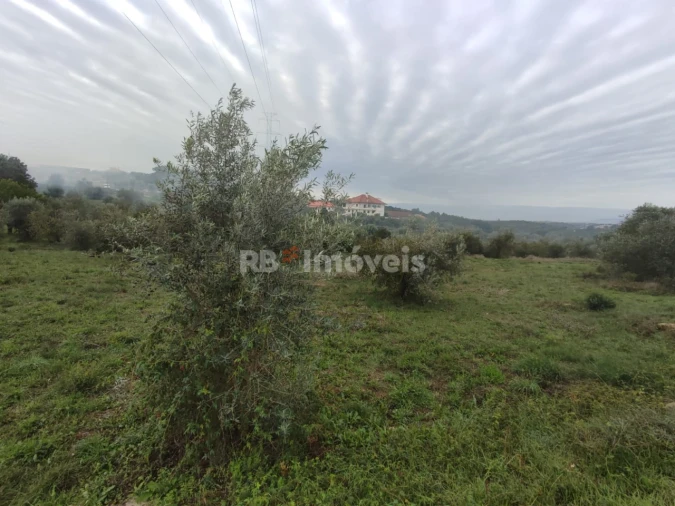 Terreno para Venda em Casais e Alviobeira Foto 2