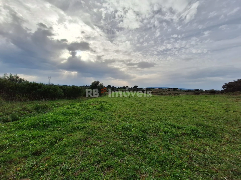 Terreno Agricola ou Rústico para Venda em Olaia e Paço Foto 2