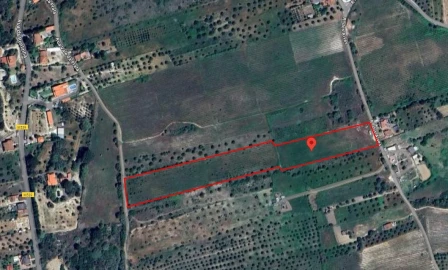 Terreno Agricola ou Rústico para Venda em Olaia e Paço