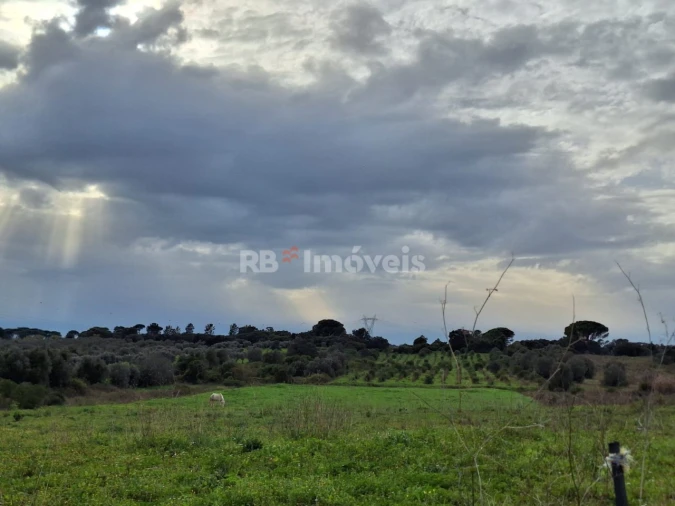 Terreno Agricola ou Rústico para Venda em Olaia e Paço Foto 7