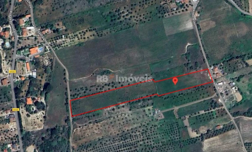 Terreno Agricola ou Rústico para Venda em Olaia e Paço