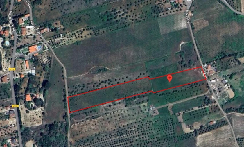 Terreno Agricola ou Rústico para Venda em Olaia e Paço Foto 14