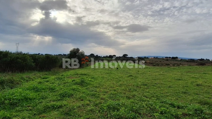 Terreno Agricola ou Rústico para Venda em Olaia e Paço
