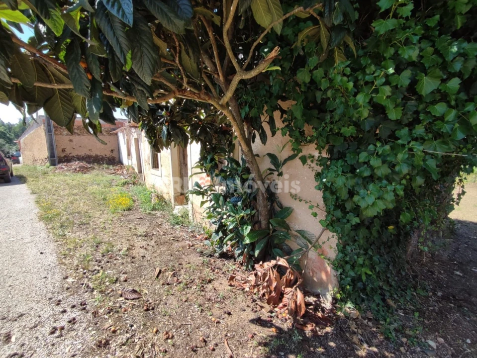 Terreno para Venda em Igreja Nova do Sobral Foto 4