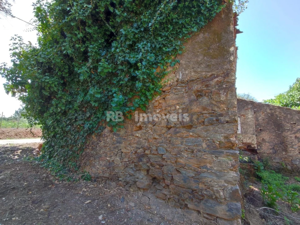 Terreno para Venda em Igreja Nova do Sobral Foto 9