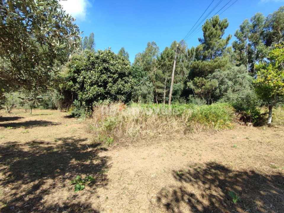 Terreno para Venda em Igreja Nova do Sobral Foto 12