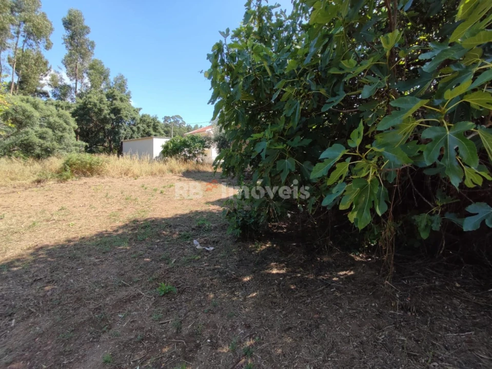Terreno para Venda em Igreja Nova do Sobral Foto 13