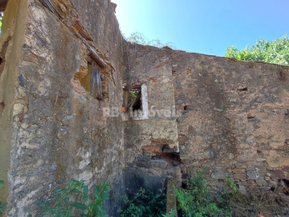 Terreno para Venda em Igreja Nova do Sobral Foto 6