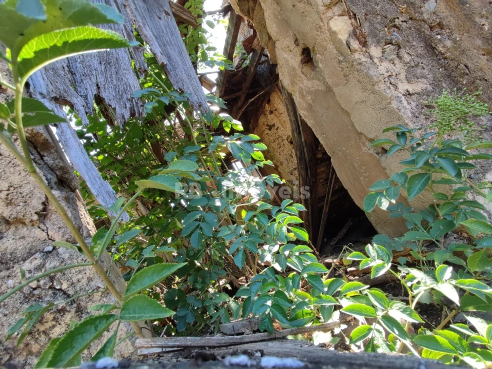 Terreno para Venda em Igreja Nova do Sobral Foto 16