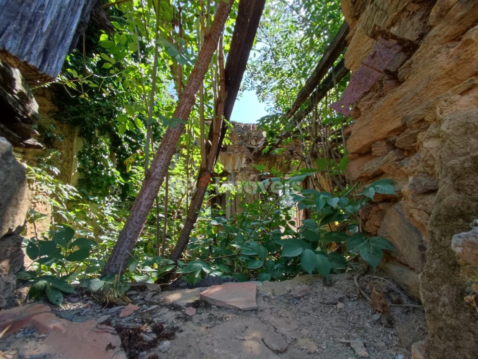 Terreno para Venda em Igreja Nova do Sobral Foto 18