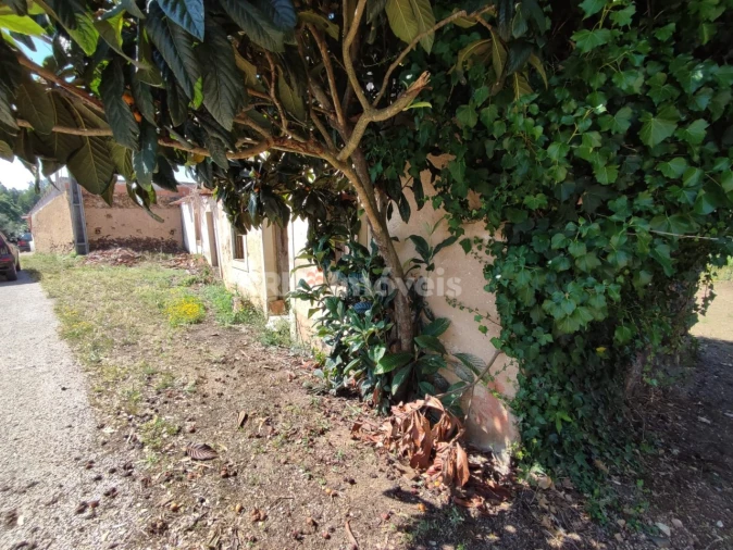 Terreno para Venda em Igreja Nova do Sobral Foto 4