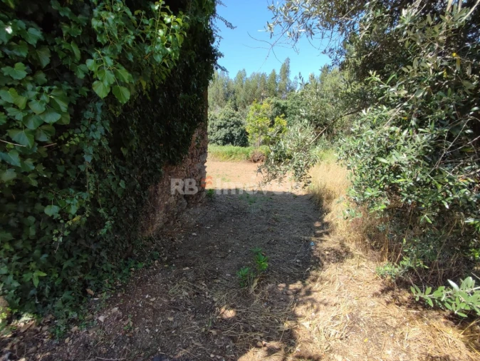 Terreno para Venda em Igreja Nova do Sobral Foto 10