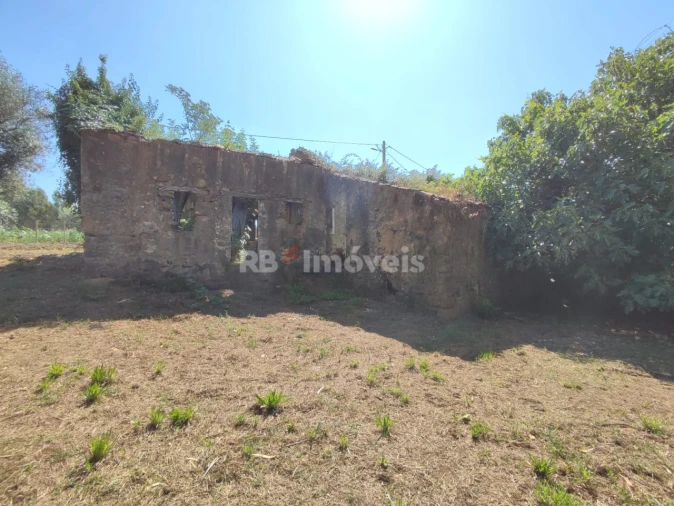 Terreno para Venda em Igreja Nova do Sobral Foto 3