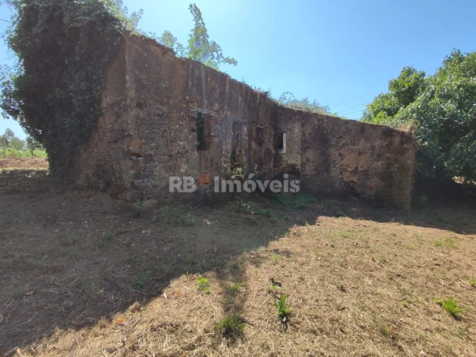 Terreno para Venda em Igreja Nova do Sobral Foto 7