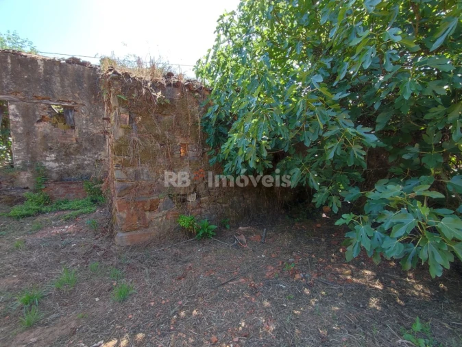 Terreno para Venda em Igreja Nova do Sobral Foto 14