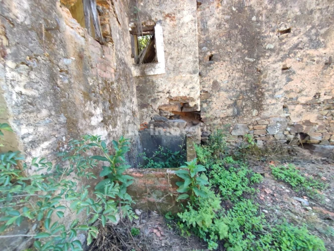 Terreno para Venda em Igreja Nova do Sobral Foto 15