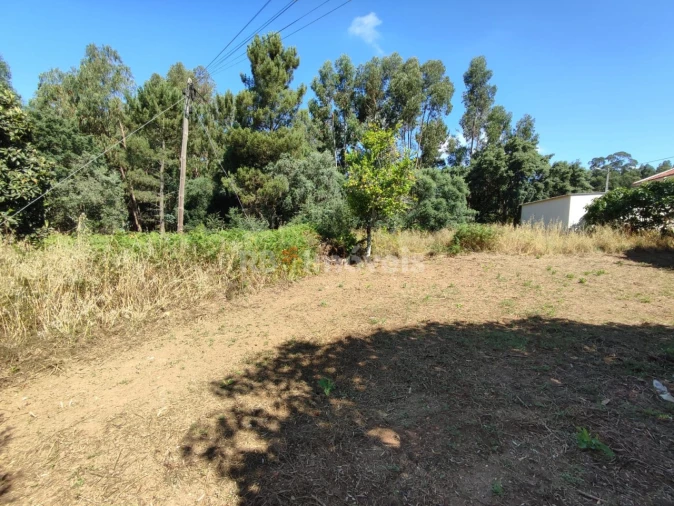 Terreno para Venda em Igreja Nova do Sobral Foto 17