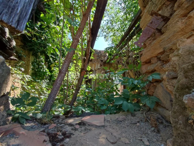 Terreno para Venda em Igreja Nova do Sobral Foto 18