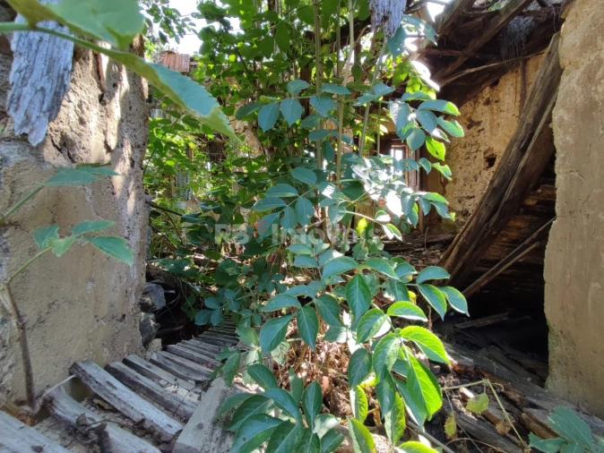 Terreno para Venda em Igreja Nova do Sobral Foto 19