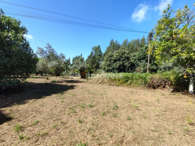 Terreno para Venda em Igreja Nova do Sobral Foto 22