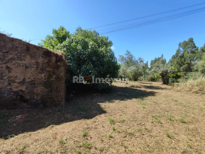 Terreno para Venda em Igreja Nova do Sobral Foto 2