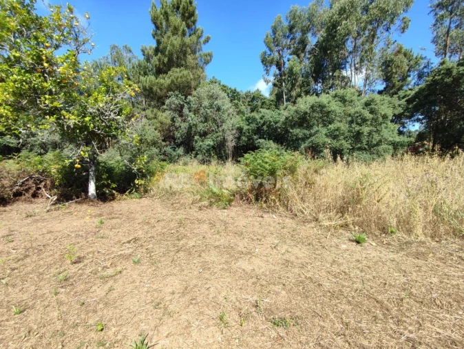 Terreno para Venda em Igreja Nova do Sobral Foto 23