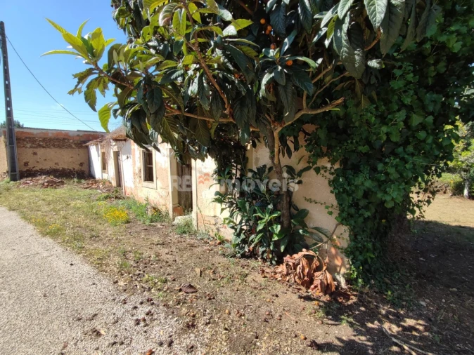 Terreno para Venda em Igreja Nova do Sobral Foto 5
