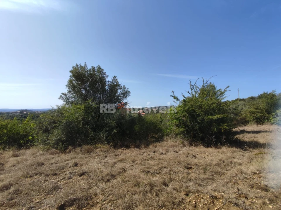 Terreno para Venda em Além da Ribeira e Pedreira Foto 11