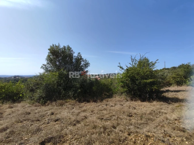 Terreno para Venda em Além da Ribeira e Pedreira Foto 11