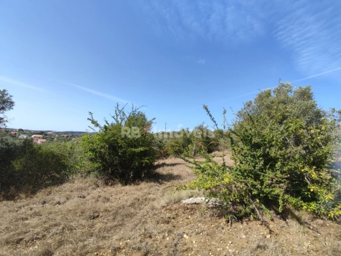 Terreno para Venda em Além da Ribeira e Pedreira Foto 5