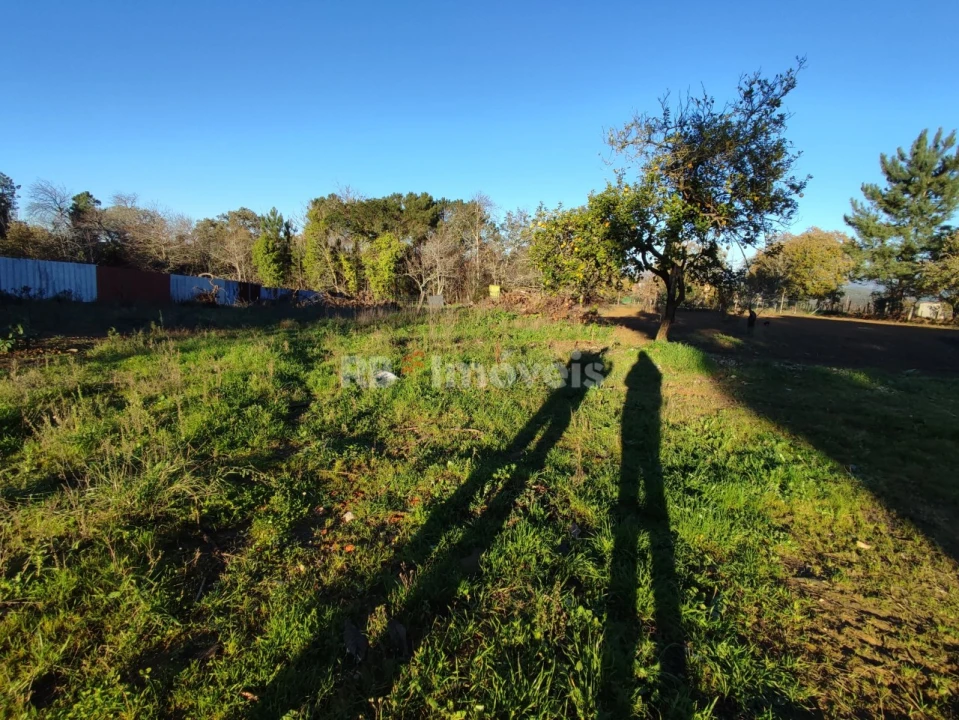 Quinta para Venda em Nossa Senhora do Pranto Foto 19