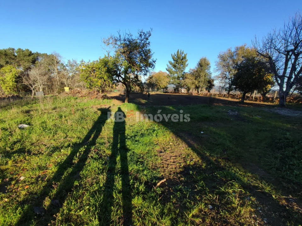 Quinta para Venda em Nossa Senhora do Pranto Foto 20