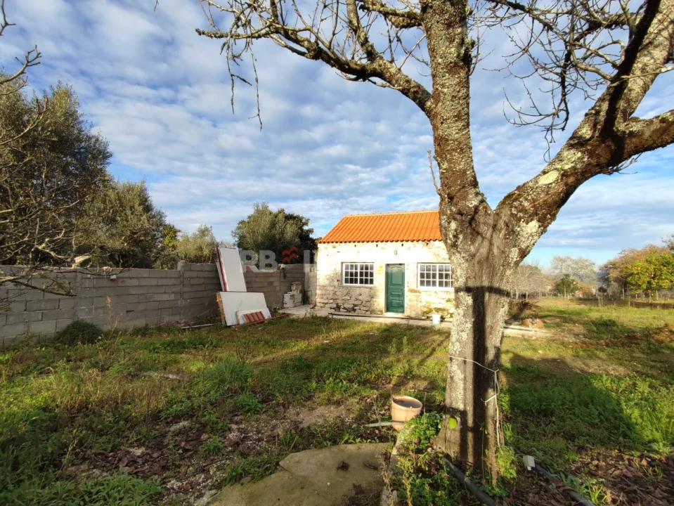 Quinta para Venda em Nossa Senhora do Pranto Foto 25