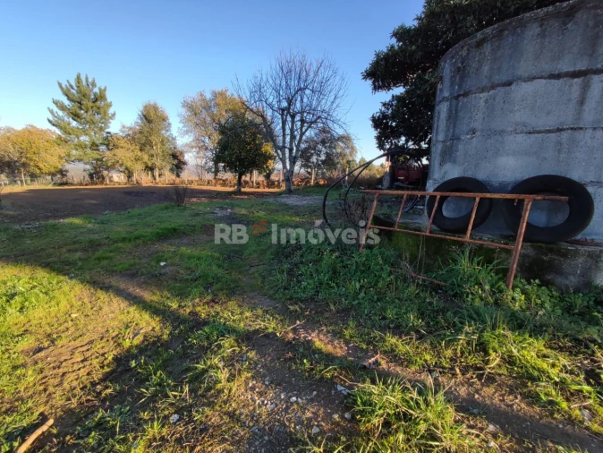 Quinta para Venda em Nossa Senhora do Pranto Foto 9
