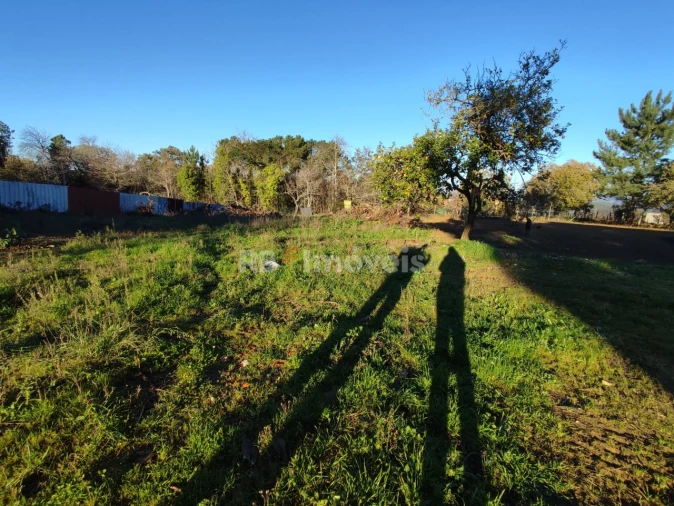 Quinta para Venda em Nossa Senhora do Pranto Foto 19