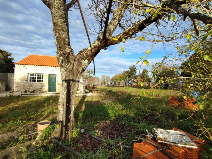 Quinta para Venda em Nossa Senhora do Pranto Foto 23