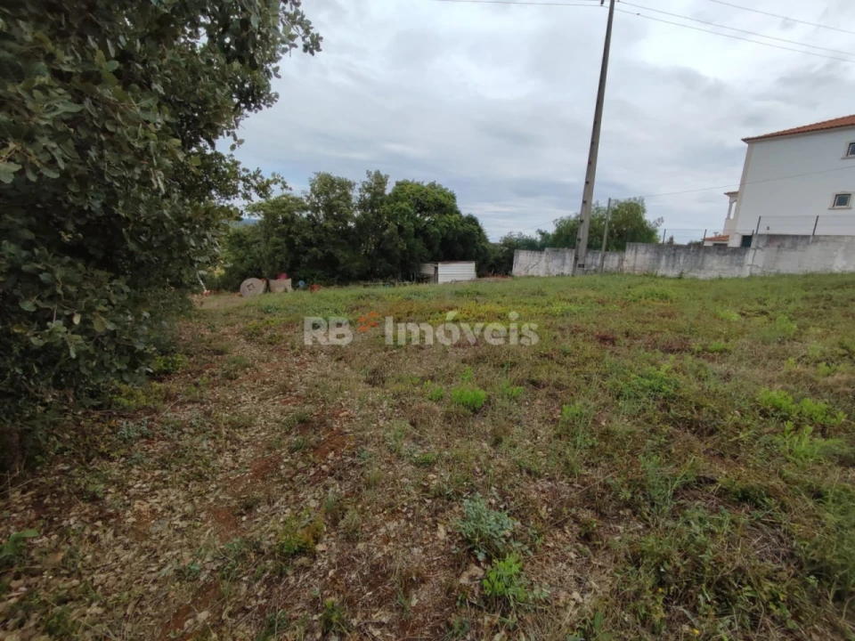 Terreno para Venda em São João Baptista e Santa Maria dos Olivais Foto 7