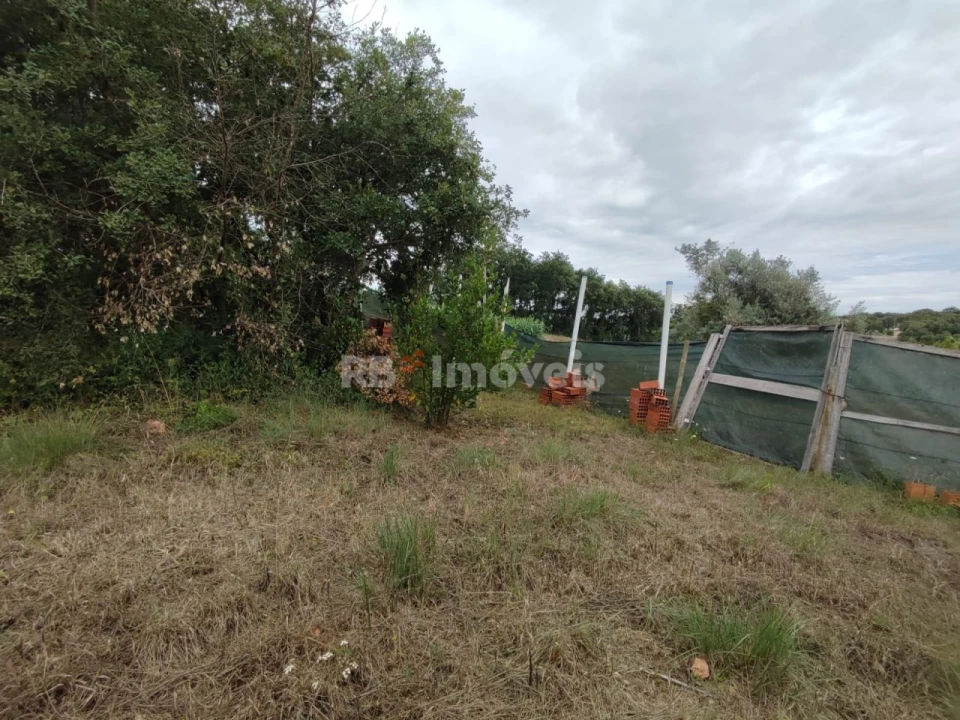 Terreno para Venda em São João Baptista e Santa Maria dos Olivais Foto 8