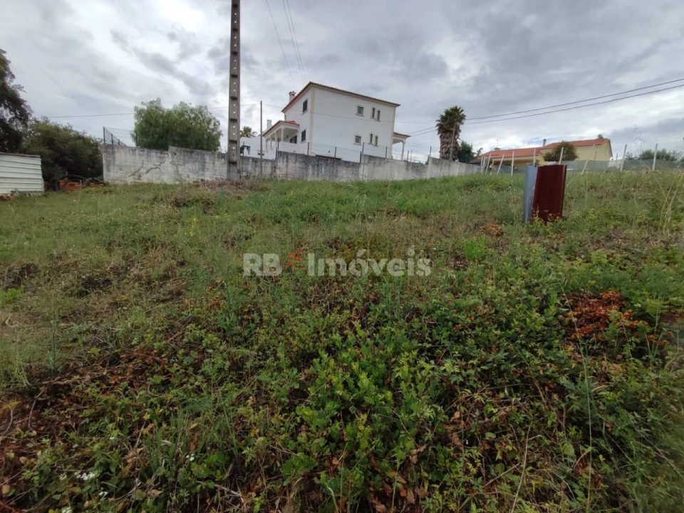 Terreno para Venda em São João Baptista e Santa Maria dos Olivais Foto 3