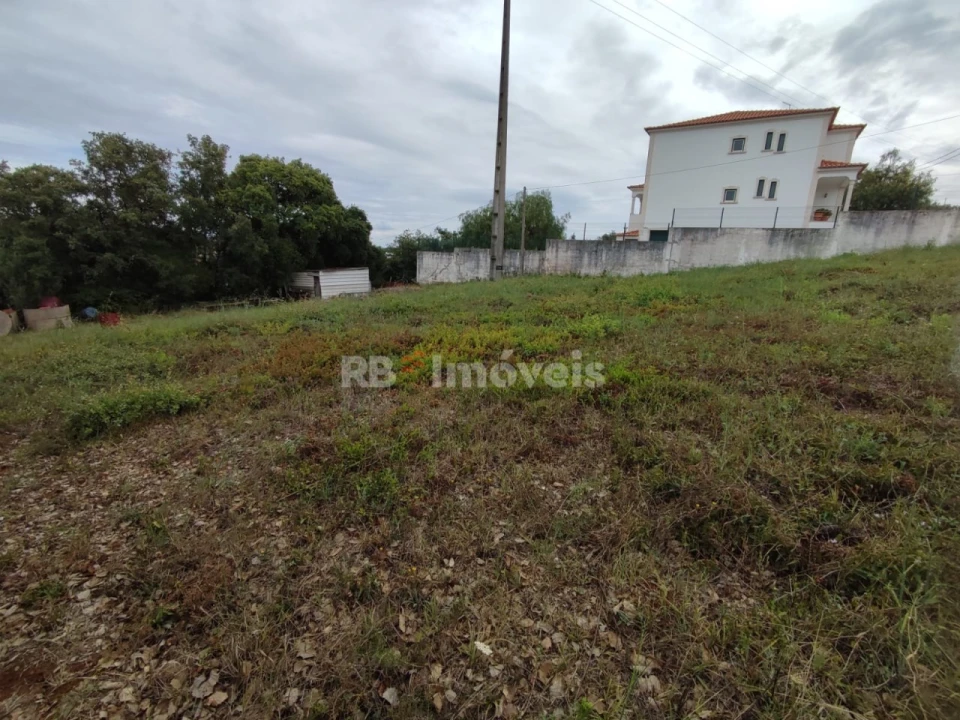 Terreno para Venda em São João Baptista e Santa Maria dos Olivais Foto 5