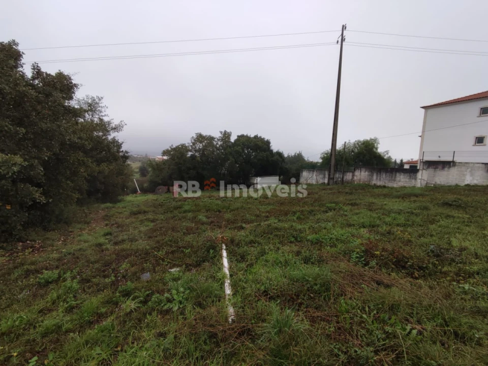 Terreno para Venda em São João Baptista e Santa Maria dos Olivais Foto 13