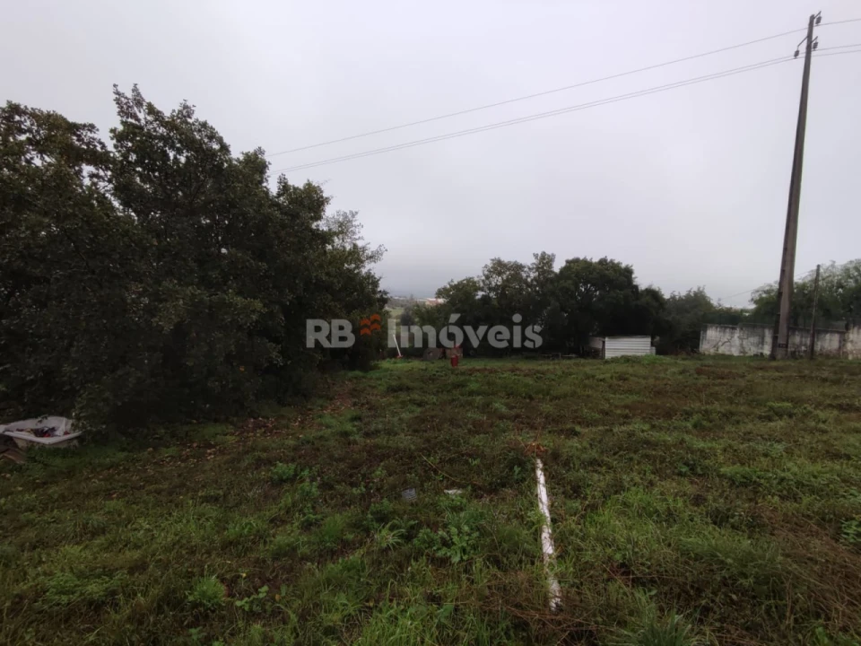 Terreno para Venda em São João Baptista e Santa Maria dos Olivais Foto 6