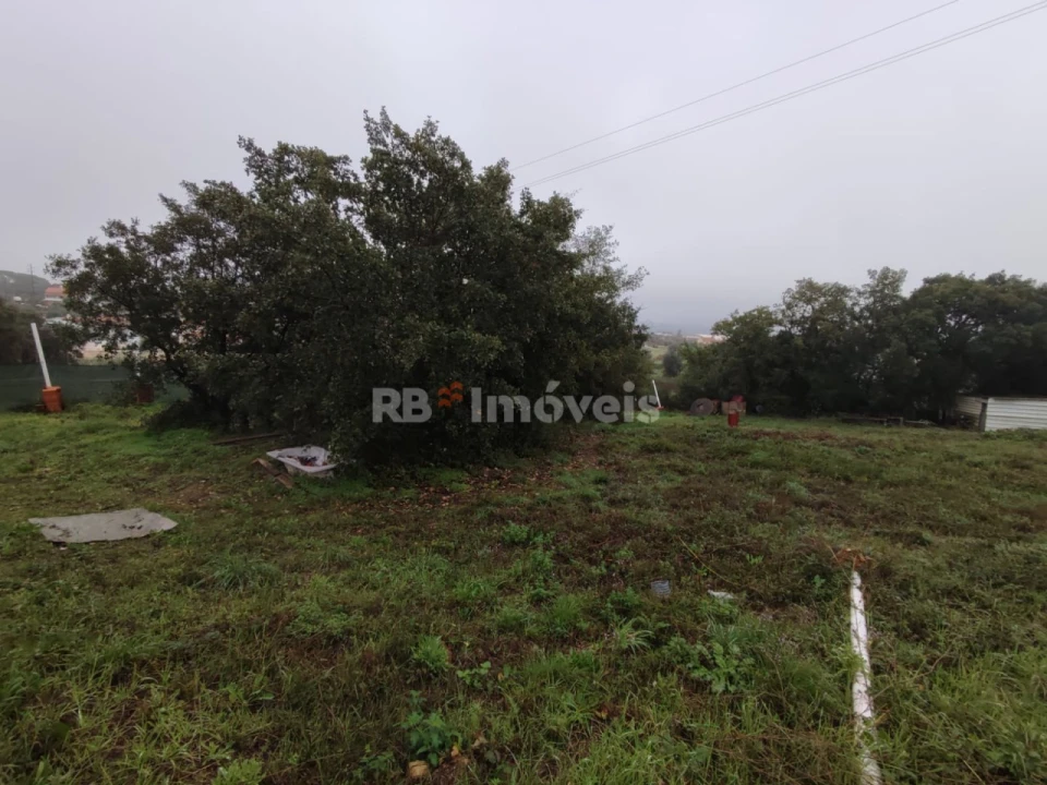 Terreno para Venda em São João Baptista e Santa Maria dos Olivais Foto 15