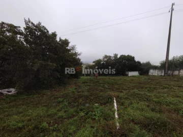Terreno para Venda em São João Baptista e Santa Maria dos Olivais