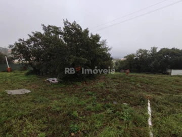 Terreno para Venda em São João Baptista e Santa Maria dos Olivais