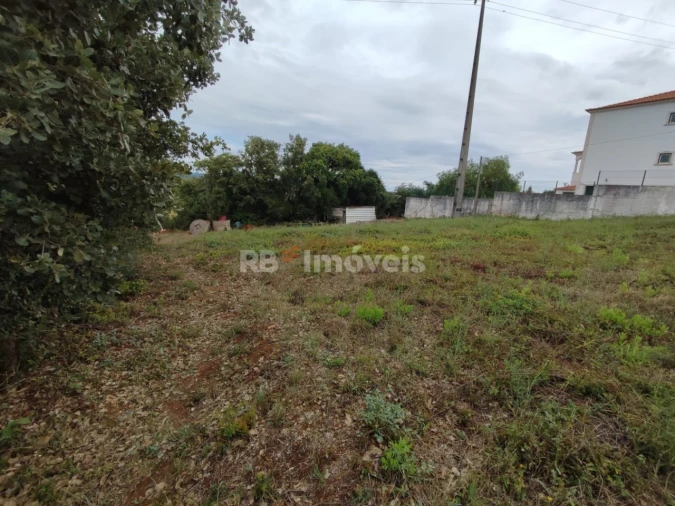 Terreno para Venda em São João Baptista e Santa Maria dos Olivais Foto 7