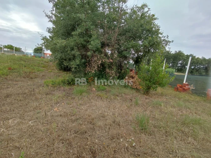 Terreno para Venda em São João Baptista e Santa Maria dos Olivais Foto 10