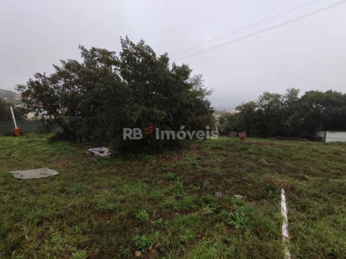Terreno para Venda em São João Baptista e Santa Maria dos Olivais Foto 15